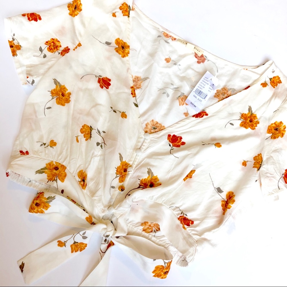 Pacsun Cropped Blouse